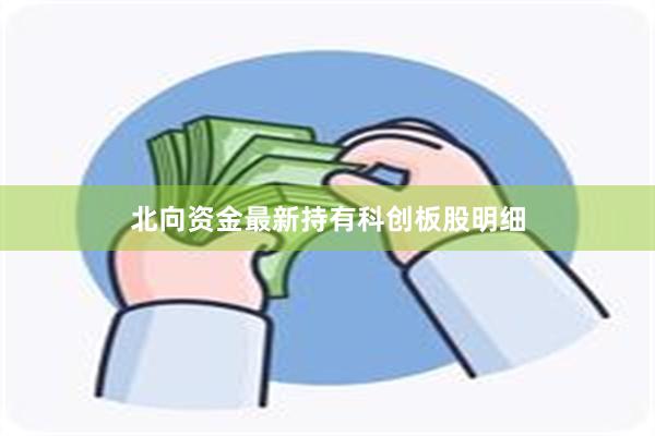 北向资金最新持有科创板股明细