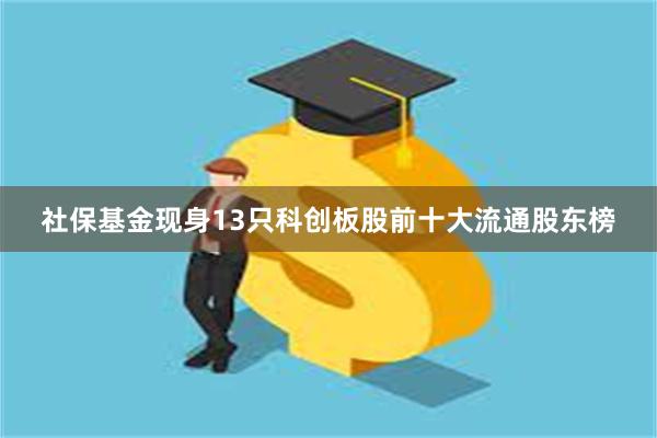 社保基金现身13只科创板股前十大流通股东榜