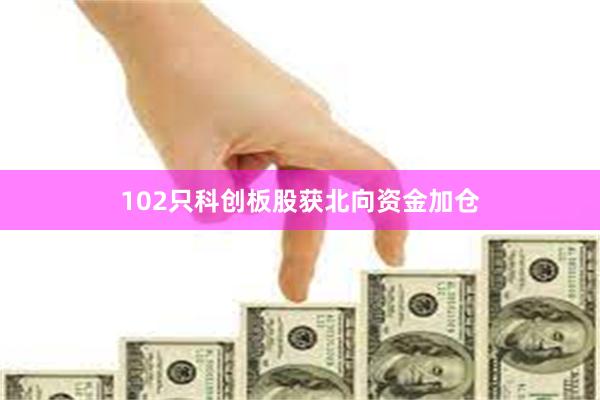 102只科创板股获北向资金加仓