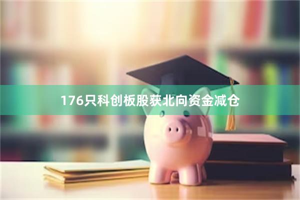 176只科创板股获北向资金减仓