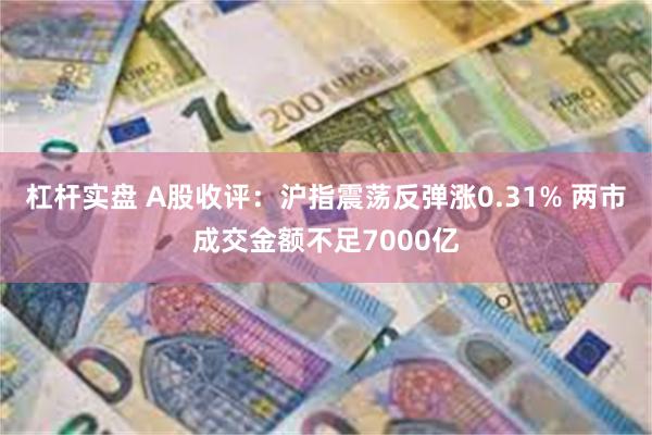 杠杆实盘 A股收评：沪指震荡反弹涨0.31% 两市成交金额不足7000亿