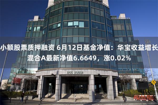 小额股票质押融资 6月12日基金净值：华宝收益增长混合A最新净值6.6649，涨0.02%