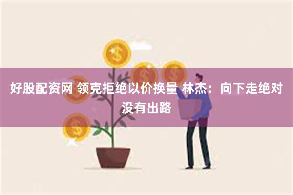 好股配资网 领克拒绝以价换量 林杰：向下走绝对没有出路