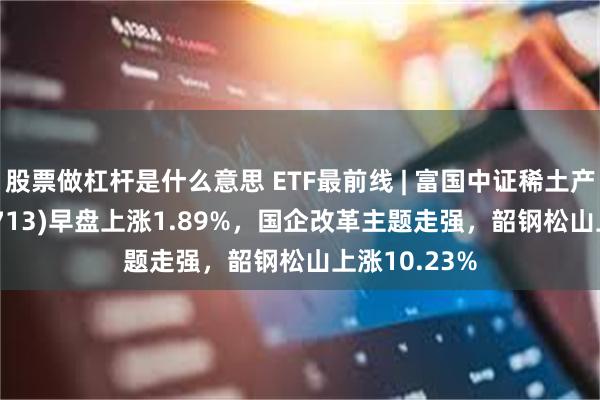 股票做杠杆是什么意思 ETF最前线 | 富国中证稀土产业ETF(159713)早盘上涨1.89%，国企改革主题走强，韶钢松山上涨10.23%