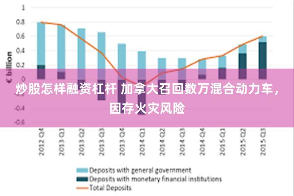 炒股怎样融资杠杆 加拿大召回数万混合动力车，因存火灾风险