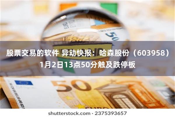 股票交易的软件 异动快报：哈森股份（603958）1月2日13点50分触及跌停板