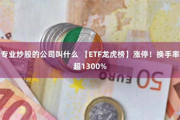 专业炒股的公司叫什么 【ETF龙虎榜】涨停！换手率超1300%