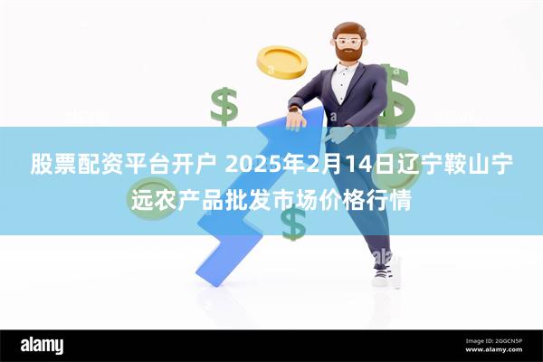 股票配资平台开户 2025年2月14日辽宁鞍山宁远农产品批发市场价格行情